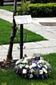 The memorial tree in Rochdale