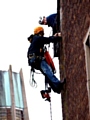 Abseilers installing bat boxes at Hopwood Hall College