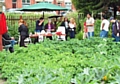 The Growth Project’s prize-winning allotment site on Kellett Street, 