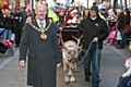 Reindeer parade