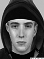 Efit released following robbery in house
