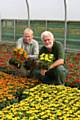 Rochdale Borough Council’s Bowlee Nursery has grown almost 200,000 red, orange and yellow flowers to celebrate the United Nations International Year of Co-operatives