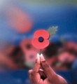 I wear my Poppy in solemn reflection and remembrance of all those who have died and have served in our Armed Forces 