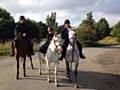 Horse riders facing abuse on the roads