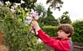 Lucas Hatch, RHS Young School Gardener of the Year 2012