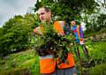 Offenders carrying out Community Payback plant a range of flowers in Springfield Park