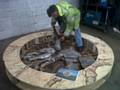 Garry Lavin assembling the forged branches for the Norden wishing tree