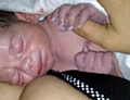 Newborn baby