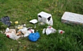 CLA welcomes harsher fly-tipping fines