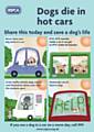 Dogs die in hot cars - if it's 22 degrees outside it can reach 47 degrees inside your vehicle