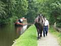 Horseboating at the 2013 Rochdale Canal Festival 