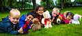 Teddy Bears’ Picnic in Springfield Park