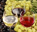 Wine glasses and grapes