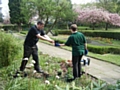 Green volunteers help to restore the gardens at Denehurst Park
