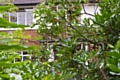 Curtains drawn at the front of the house on Manchester Road, Hopwood, Heywood