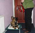 Kato on his camp bed by the front door