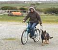 Kato is learning to trot at the side of a bike