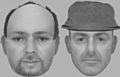 Digital ‘evofit’ images of the offenders