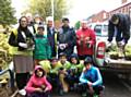 Adults and children plant bulbs for King Street East Residents Association’s Community Planting day 