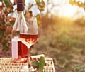 Rose wine - made for British summer!