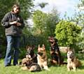 The founder, Cath Phillips with her dogs