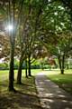 Path at Truffet Park in Langley