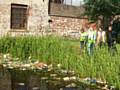 REAG found Coke cans, plastic bottles, sofa, wood and trolleys thrown into Rochdale Canal