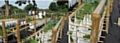 Cassette Planters in use at Rochdale Urban Farm growing vegetables 