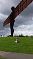 Samer Qureshi read her book on the feet of the Angel of the North