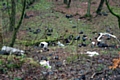 Ashworth Valley fly tipping on Boxing Day