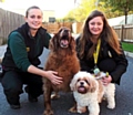 Doggie duo Rosie (left) and Beth  with Canine Carer Jen Lewis (left) and Supporter Relations Officer, Lucy Marsh