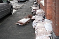 Sandbags outside homes on on Heyes Street after the Boxing Day floods