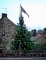 The Christmas tree at Cotton Tree Corner, Newhey