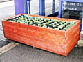 Rochdale Train Station brightened up with planters