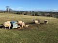 Farmers and land managers affected by last year’s flooding are being reminded of an important deadline