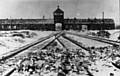 Holocaust Memorial Day - concentration camp 