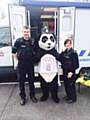 Constable Cub at the GMP Kirkholt Service Fair 