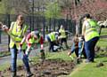 Work on new flower beds at Springfield Park