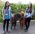 Kirsten Lacey and Milly Chambers with Teddy and Baz