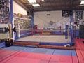 Hamer Amateur Boxing