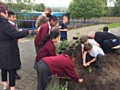 Smallbridge Gardening Project