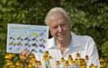 Sir David Attenborough is calling on people in the North West to take part in world's largest butterfly survey this weekend