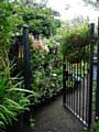 Edenfield Road Alley Gate - Rochdale in Bloom judging day