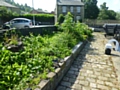 The Littleborough Canal Adoption Group clear Canal Garden at Durn and plant donated plants