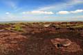 Before the 5-year conservation project to protect moorland