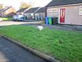 Maria Francini failed to clean up after her dog went to the toilet on a grass verge