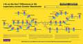 Life on the line - differences in life expectancy across Greater Manchester