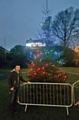 Paul Ellison with the Jubilee Park Christmas tree