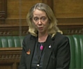 Liz McInnes in parliament calling for action to tackle the prison crisis