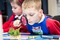 Newhey Community Primary School children discover the lifecycle of a pea plant 